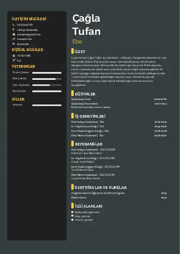 Ebe Cv Örnekleri cv indir